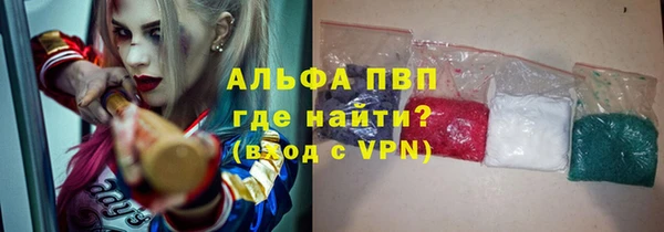 прущие грибы Надым