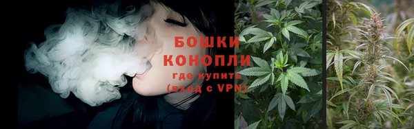 ГАЛЛЮЦИНОГЕННЫЕ ГРИБЫ Михайловка