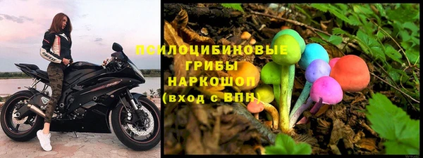 кокс Михайлов