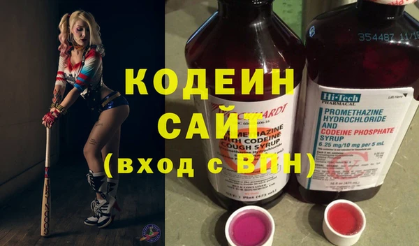 прущие грибы Надым