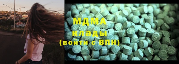 прущие грибы Надым